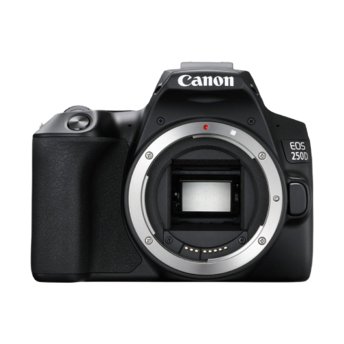 Ремонт фотоаппаратов Canon в Ростове-на-Дону